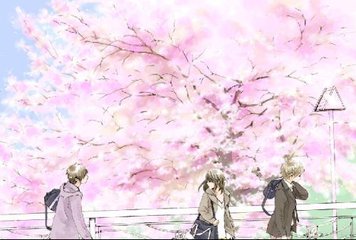 无套入一线天白虎